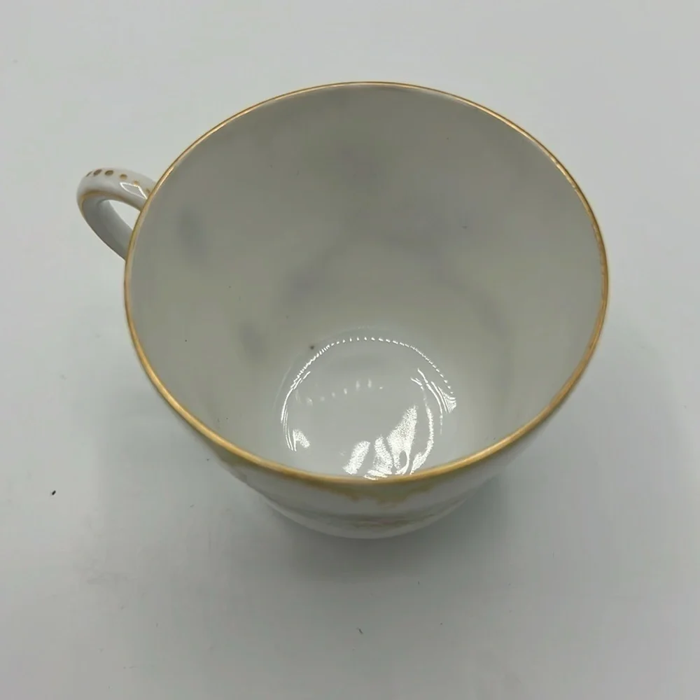 THEODORE HAVILAND EARLY 1900’s VINTAGE PINK PURPLE FLORAL TEA CUP AND SAUCER SET